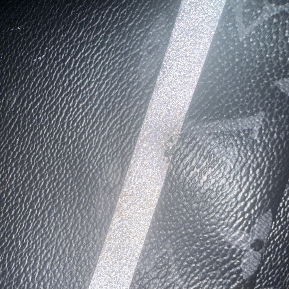 Louis Vuitton Dark Monogram Backpack - image 5